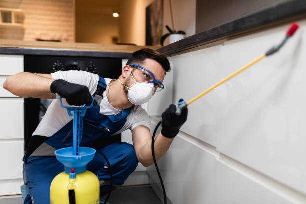 Best Termite Control Services  in Manchester Center, VT