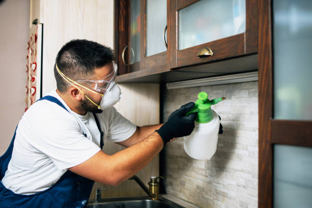 Best Pest Control for Restaurants  in Manchester Center, VT