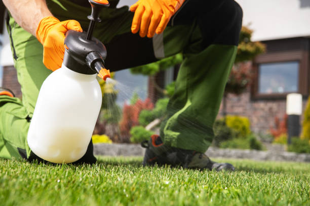 Best Commercial Pest Control Services  in Manchester Center, VT