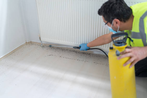 Best Best Pest Control Companies  in Manchester Center, VT